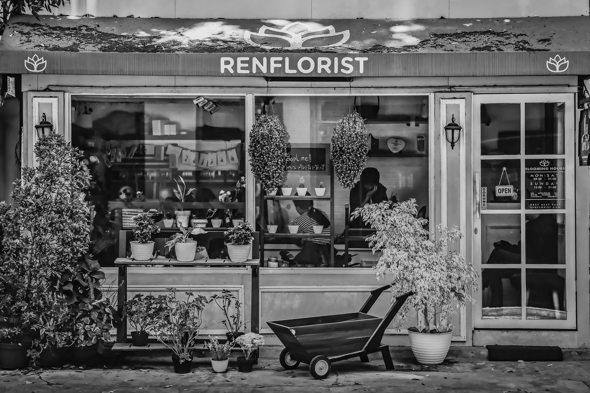 Fleuriste à Lens